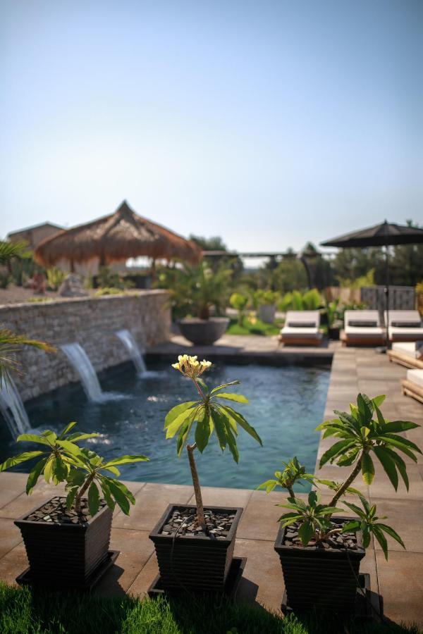 Villa Merapi Sveti Lovreč Pazenatički Екстериор снимка
